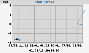 Wind Vector